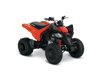 Can-Am DS 250 '22